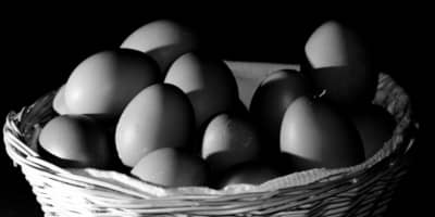 Workplace Pension Contributions