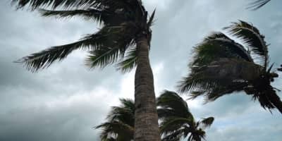 Protecting Your Business in a Natural Disaster