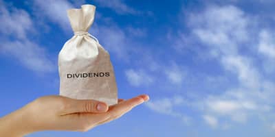 How Much Profit are Directors Entitled to?