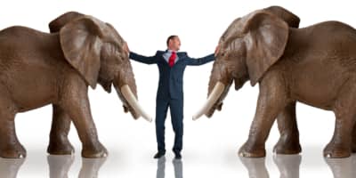 Acas and Employment Disputes