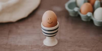 Famous Eggs, Freelancer Hubs & Making Tax Digital