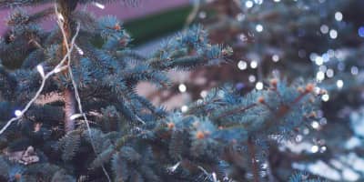 Top Tips for Christmas Email Marketing