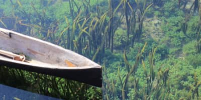 Social Good, Seaweed & Seamless Shopping