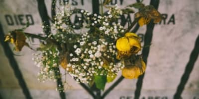 Death Isn't the End for These Startups