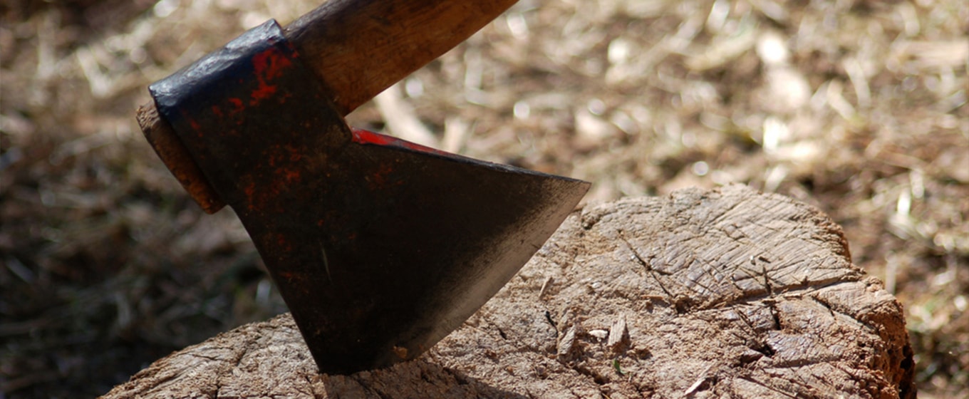 £5 Million Cut from SME Overdrafts Each Day - Fleximize