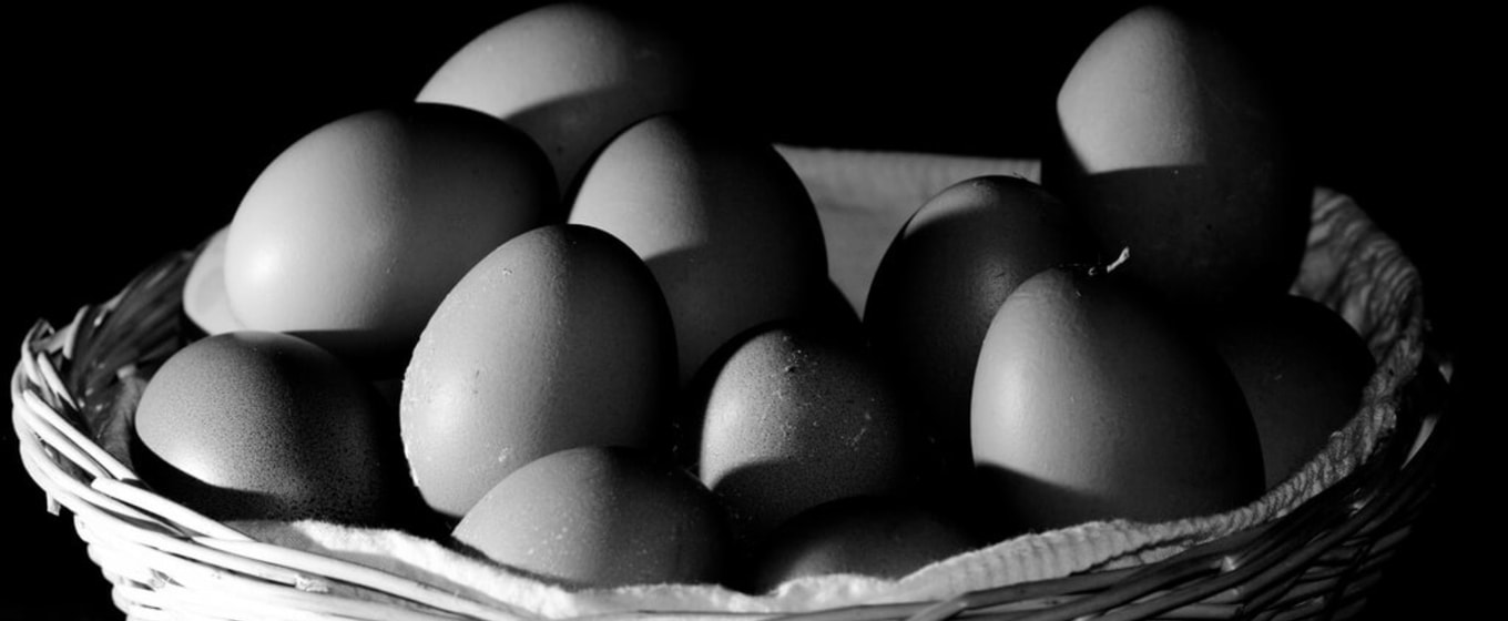 Workplace Pension Contributions - Fleximize