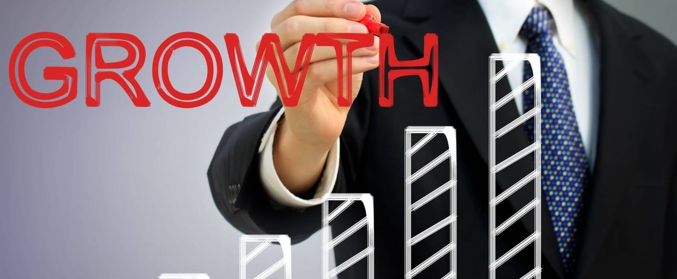 Should I hire a financial manager? - Fleximize