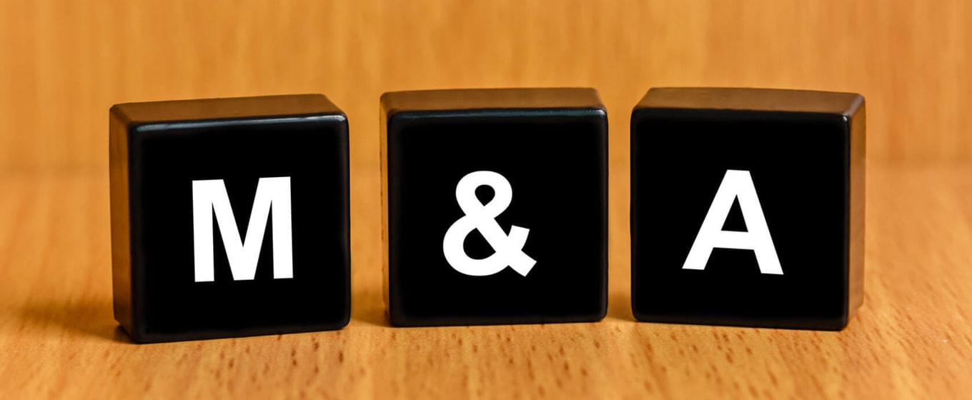 Best Time for M&A and Expert Advice - Fleximize