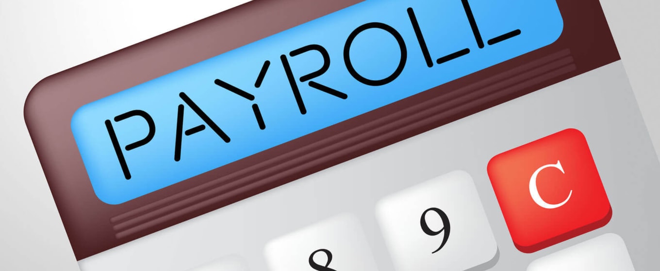 The Basics of PAYE - Fleximize
