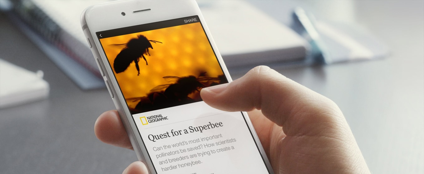 Google AMP is Coming - Are You Mobile-Ready? - Fleximize