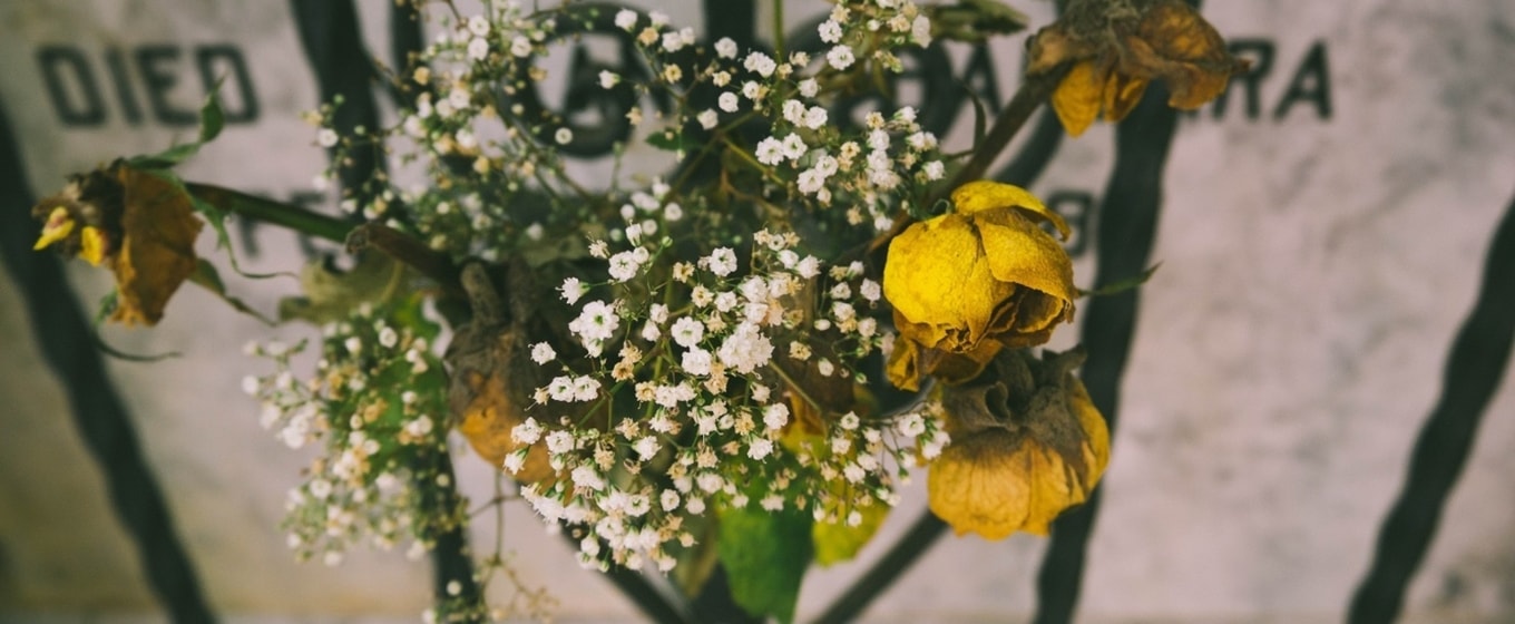 Death Startups Challenging Funeral Industry - Fleximize