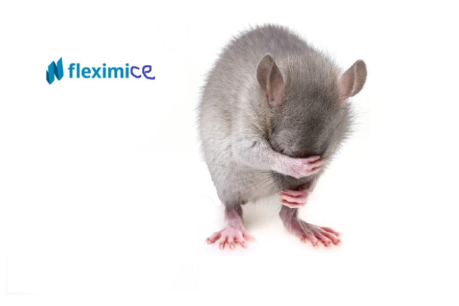 Fleximice